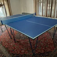 میز پینگ پنگ