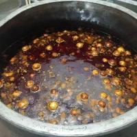 کترینگ جانان غذای شرکتی