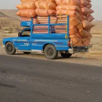 کاه|لوازم جانبی حیوانات|مسجد سلیمان, |دیوار