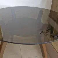 میز شیشه ای، پرده زبرا، تابلو نقاشی،آباژور