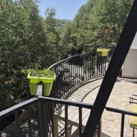 به یک نفر متعهد جهت کافه