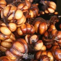 سیر ترشی ۶ ساله