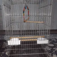 دو عدد قفس بزرگ برای پرنده