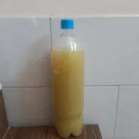 آبغوره تازه