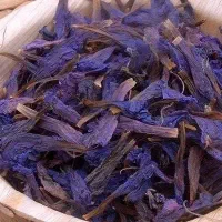 گل گاو زبان تازه