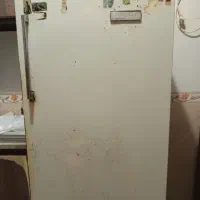 یخچال ارج فقط گاز ندارد فقط