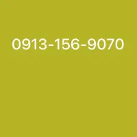 09131569070