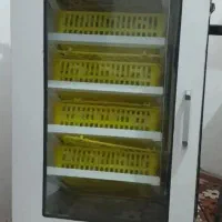 دستگاه جوجه کشی 210 تایی فاخته