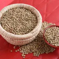 فروش حبوبات خوش پخت وزودپز