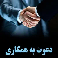 سرمایه گذاری برای یک ایده پولساز