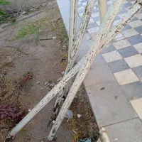 دار قالی