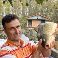 باشگاه ماهیگیری و فروش ماهی