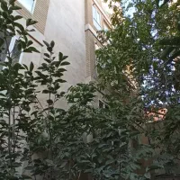 آپارتمان بینظیر درکه