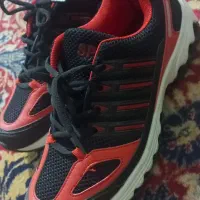 اسپورت