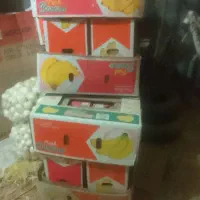 کارتن موز