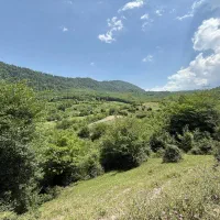 1000-متر-زمین-باغی-سند-تک-برگ-فقط-متری2-500