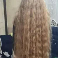 خرید و فروش موی طبیعی بانوان با قیمت بالا