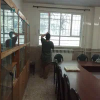 نقاشی ساختمان روغنی و پلاستیک و کرولیک وکناف