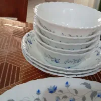 سرویس غذاخوری آرکوپال کامل نیستن