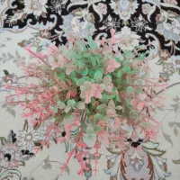 گل برای آکواریوم