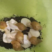 حلزون رایگان
