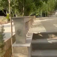 مشارکت. زمین تجاری مسکونی