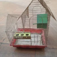 ۵ عدد قفس پرنده