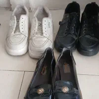 کفش وکتونی زنانه
