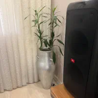معلم زبان انگلیسی برای دختر ۴ ساله