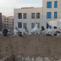 کفتر پرش سنگین