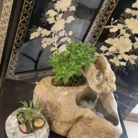 ابنما سنگ طبیعی