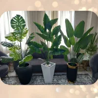 گلهای شیک و ماندگار وارداتی