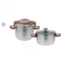 زودپز دوقلو تکنو