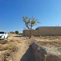 زمین آینده دار در نزدیکی شهر ـ آغویه