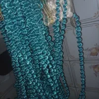 پرده ریشه ای