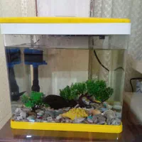 آکواریوم K320 دلسا