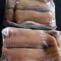 فروش ماهی قزل آلای فیله