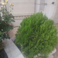 زمین فروشی