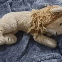 عروسک شیر با بچش هست