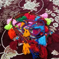 افسار|اسب و تجهیزات اسب‌سواری|دورود, |دیوار