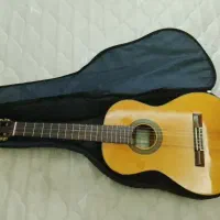 گیتار در حد نو بدون خط و خش چون استفاده نکردم