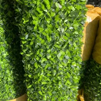 فنس برگی درجه ۱