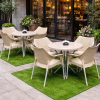 صندلی پلاستیکی میز ناهارخوری