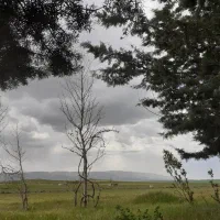 فروش-باغچه