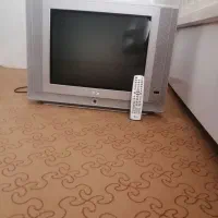 تلویزیون