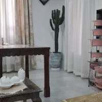 کاکتوس افوربیا بزرگ با گلدان سفالی