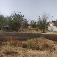 زمین-باغی-علویجه