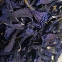 گل گاو زبون
