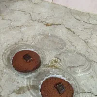 موچی