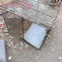 قفس|لوازم جانبی حیوانات|سیرجان, |دیوار